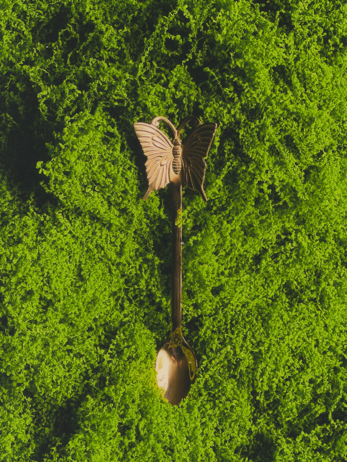 🦋 The Butterfly Stirring Spoon: Fairy Garden Find