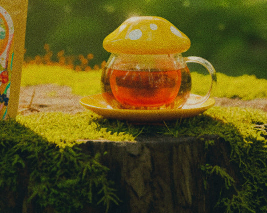 🍄 Merry Forest Mug Set