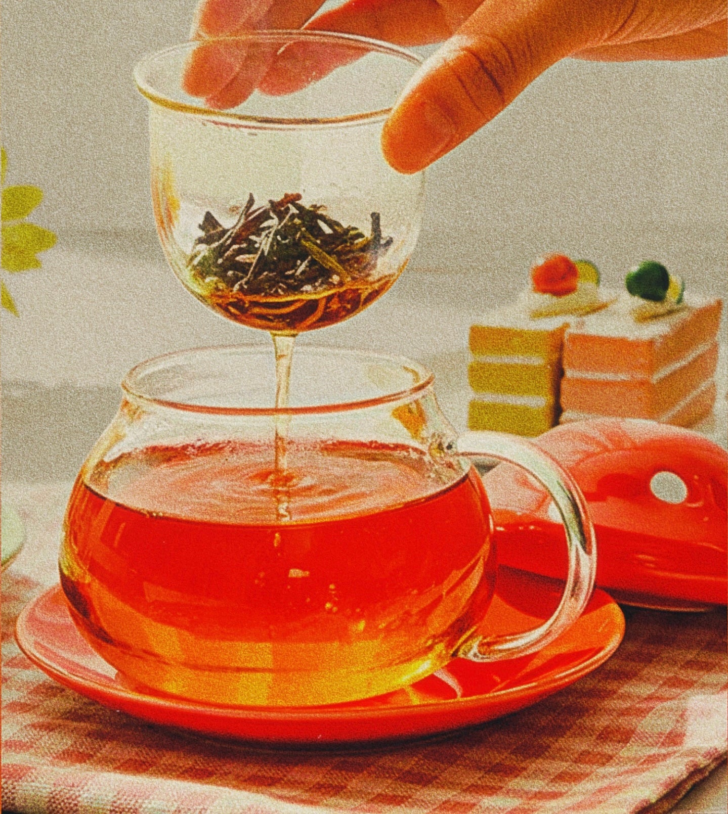 🍄 Merry Forest Mug Set