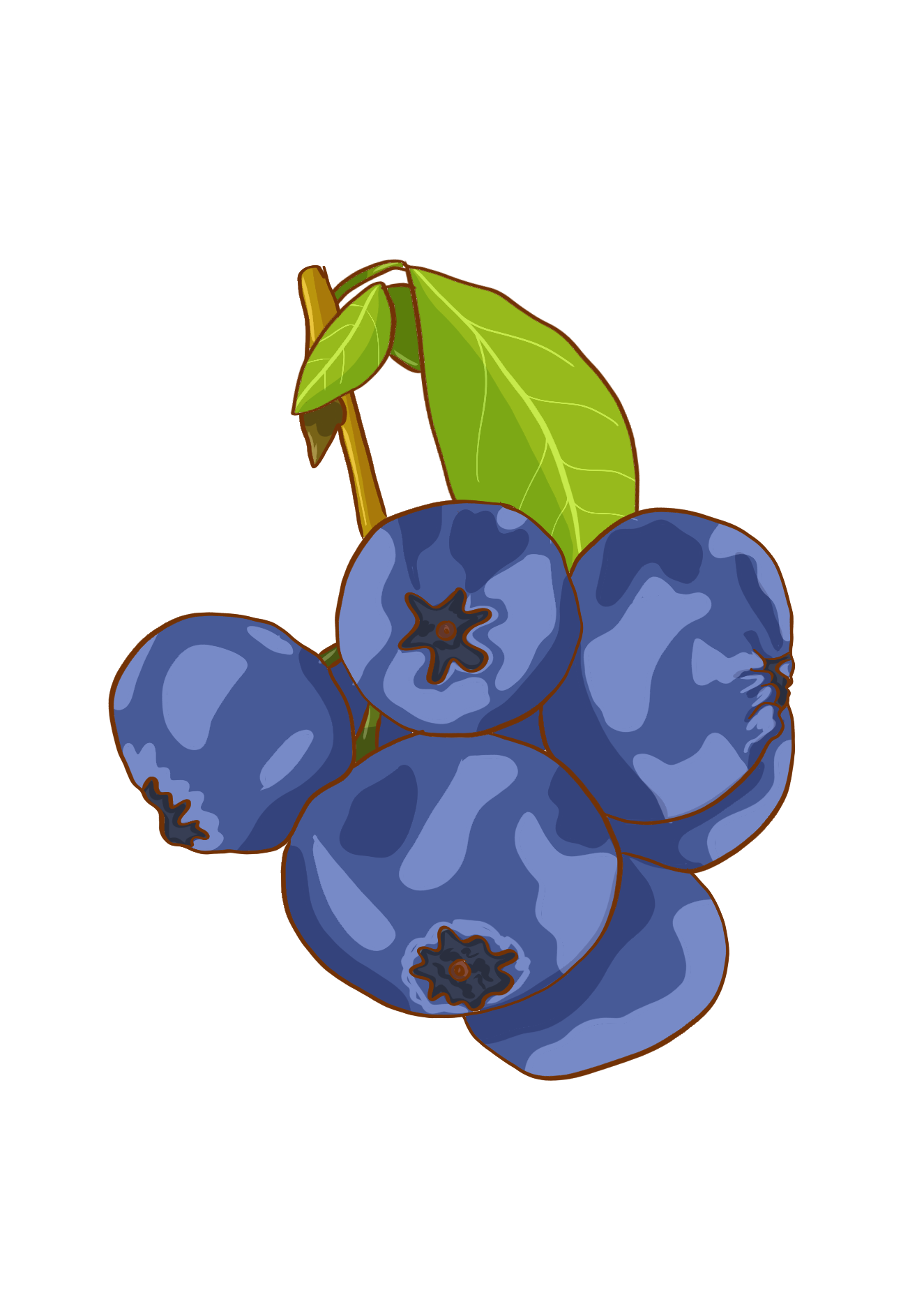 Blueberry icon
