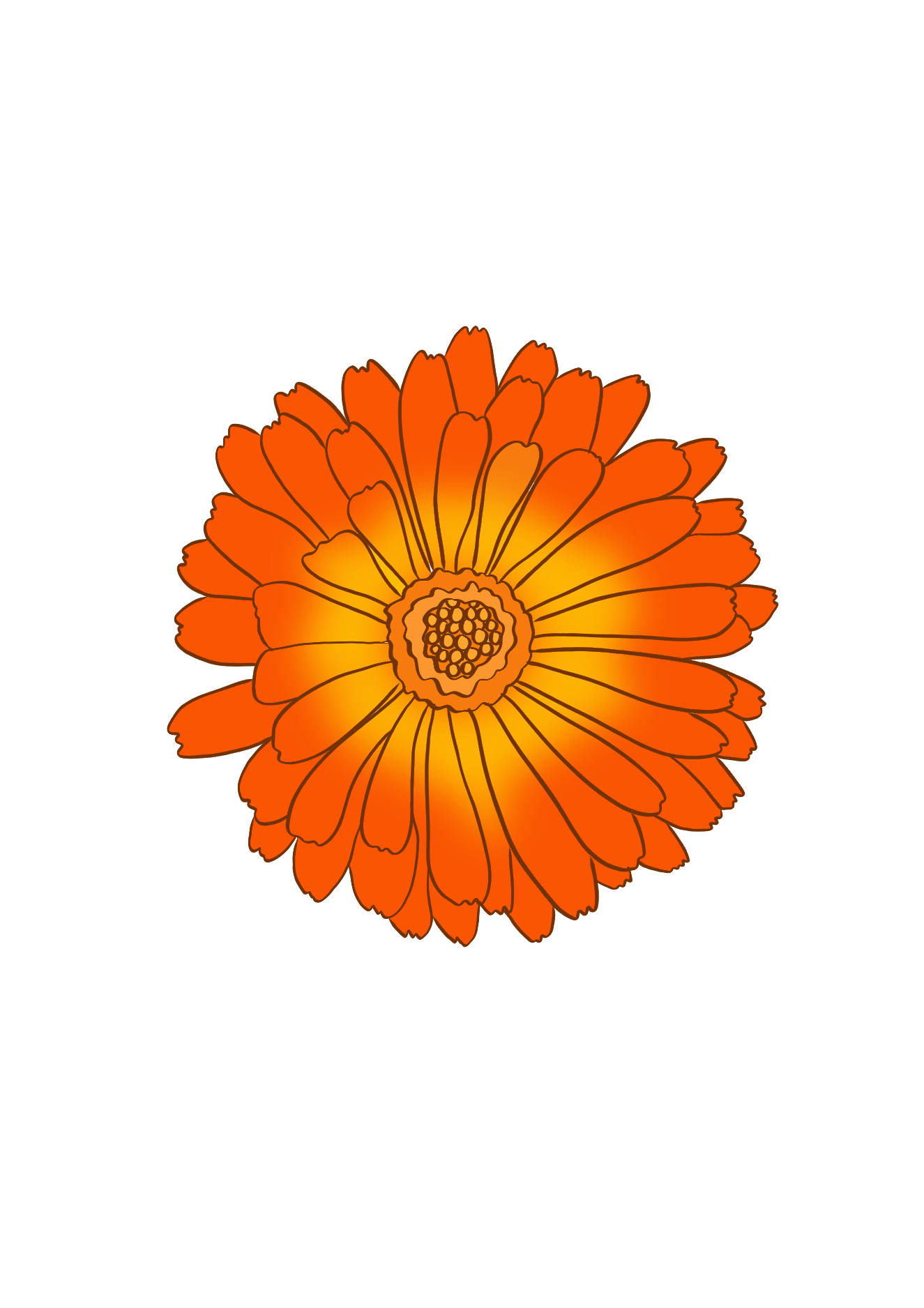 Calendula icon