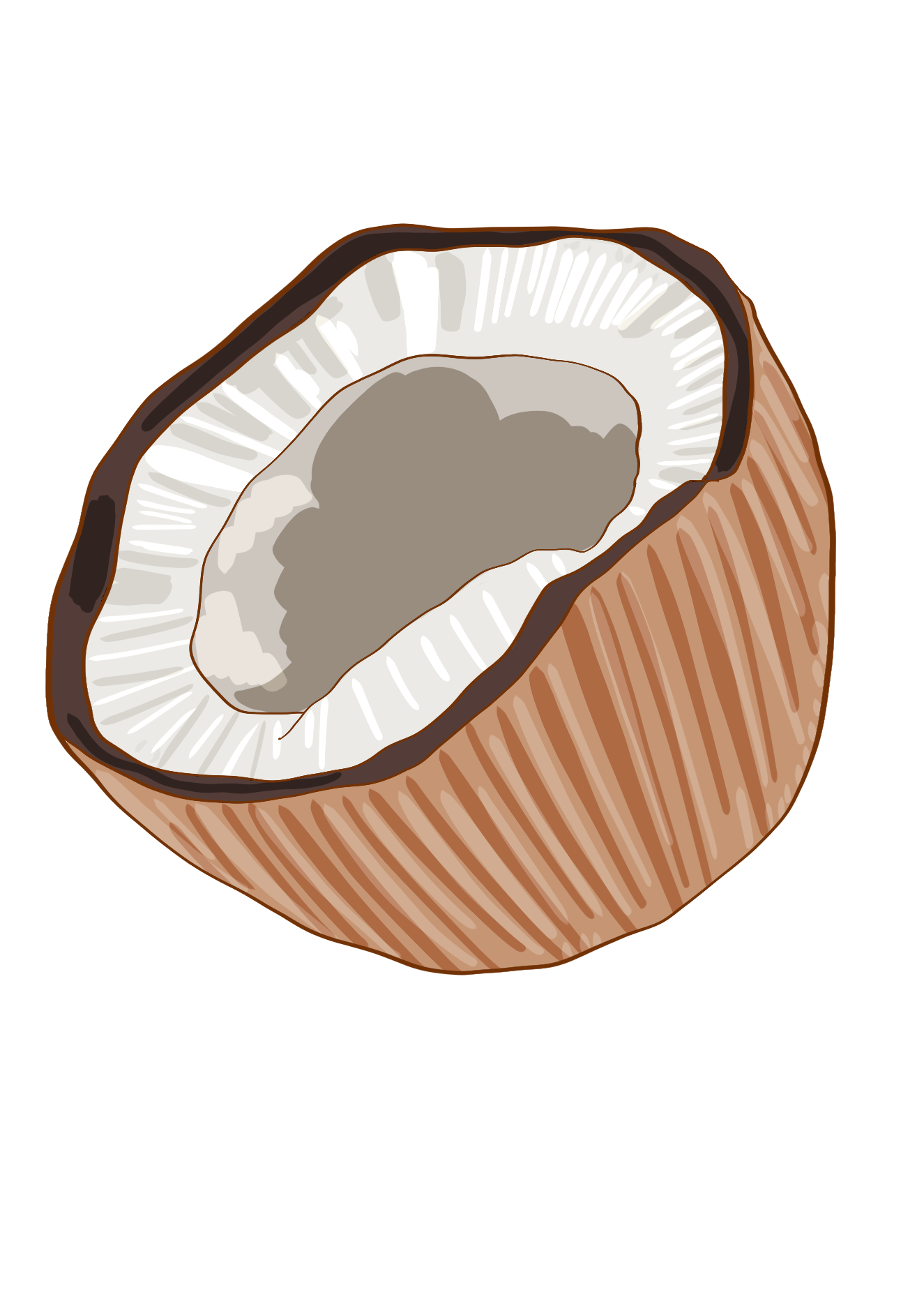 Coconut icon