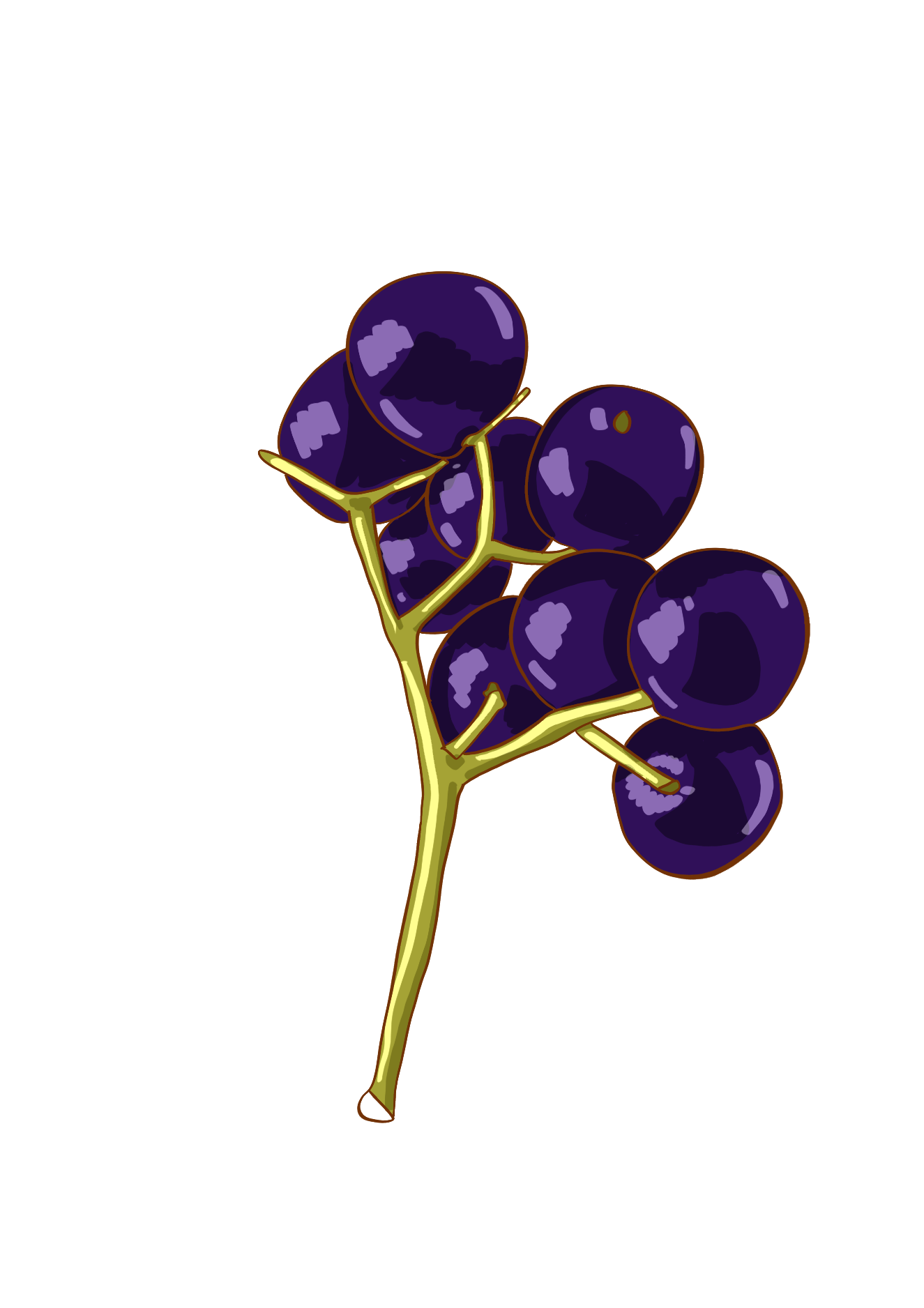 Elderberry icon