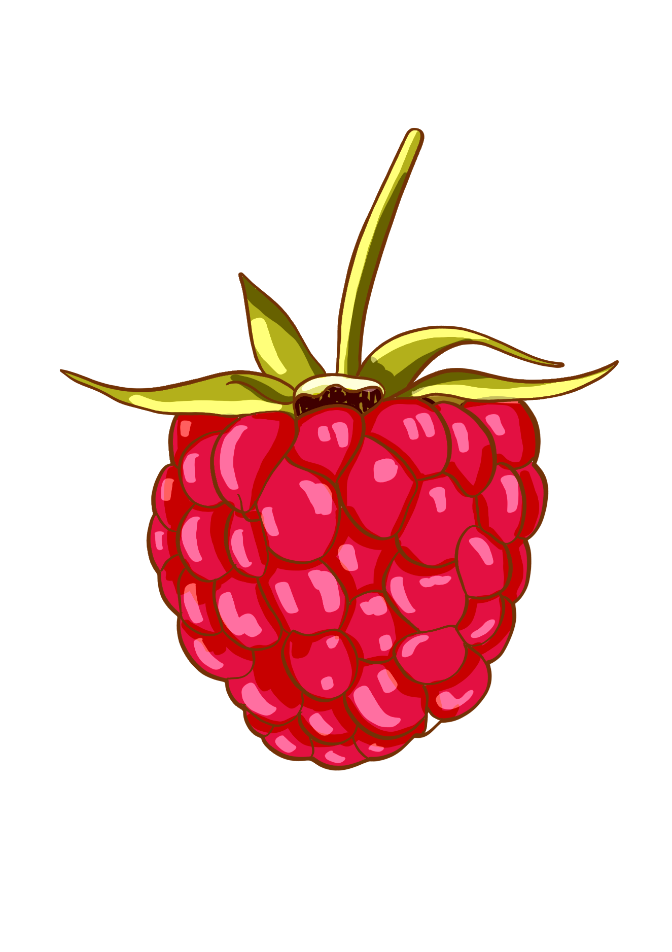 Raspberry icon