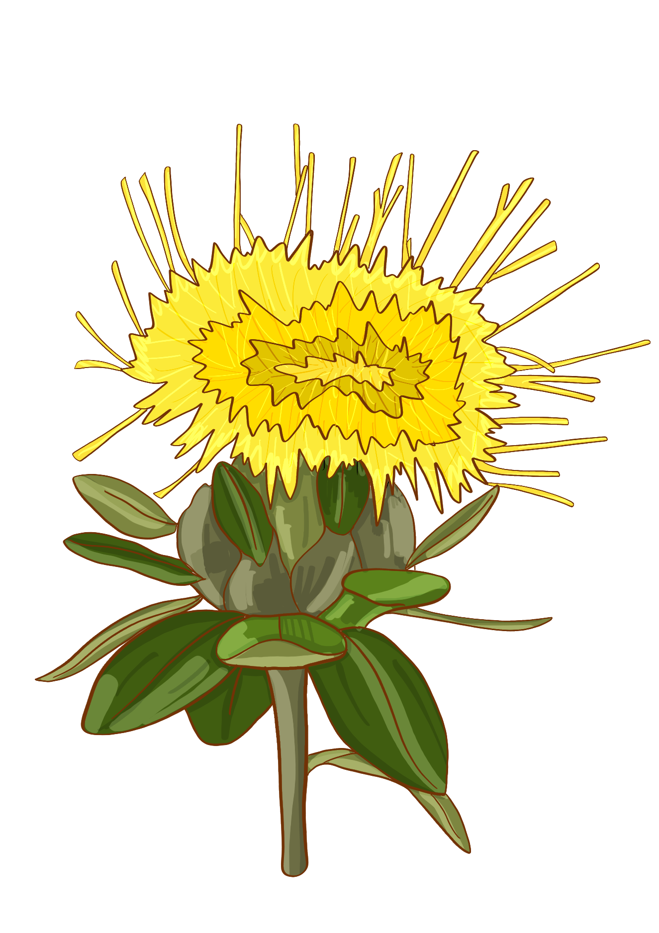 Safflower icon