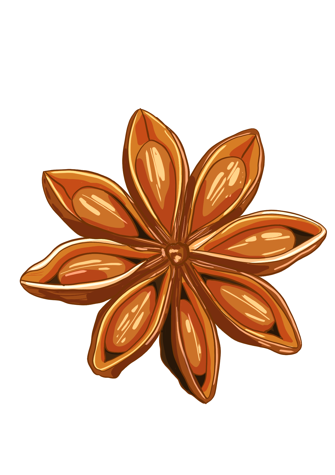 Star Anise icon